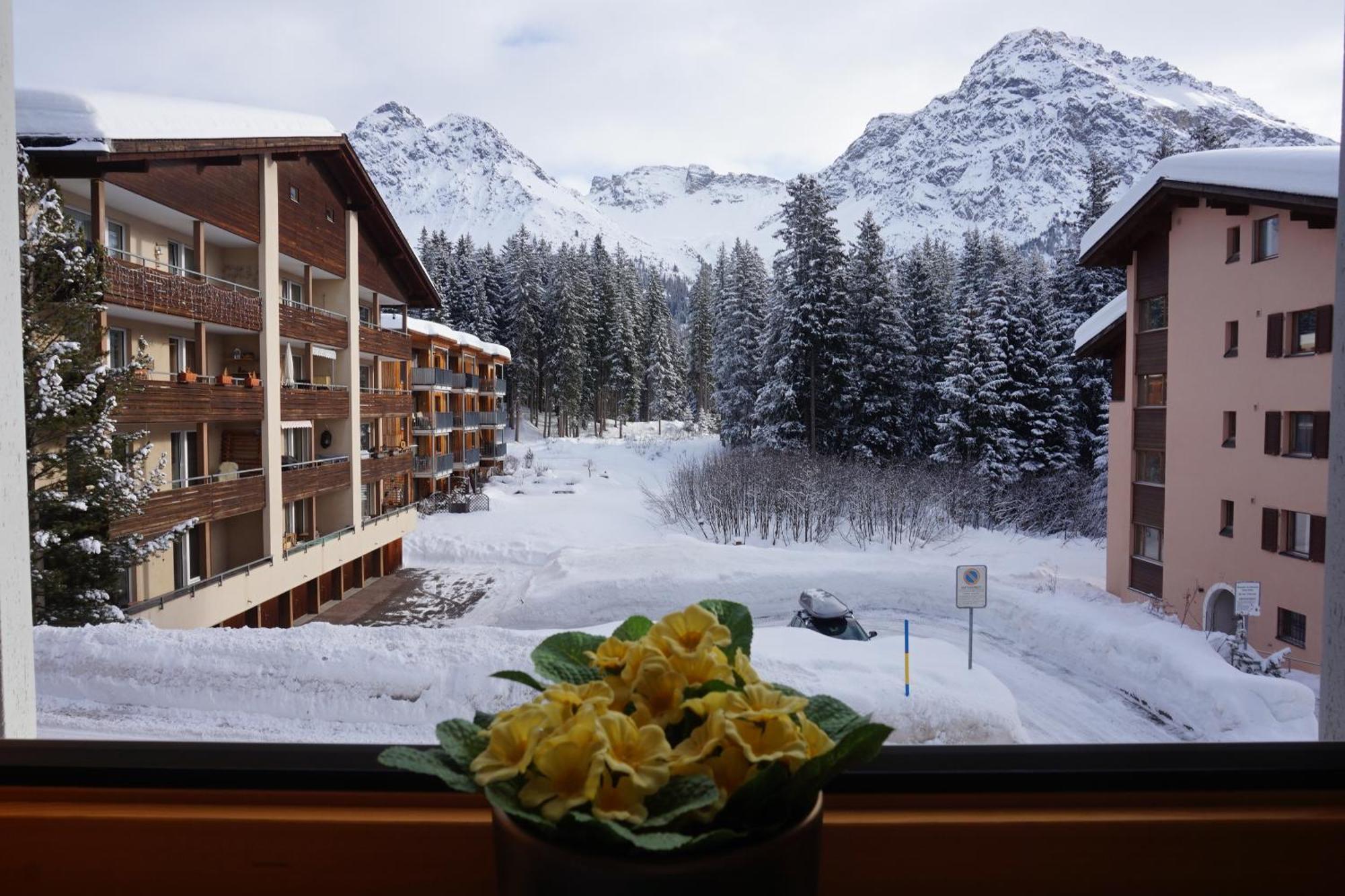 아로사 The Window To The Mountains 아파트 외부 사진